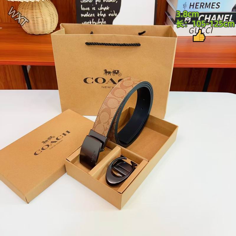 Coach belt 38mmX105-125cm 8L20